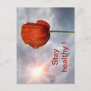 Carte Postale Restez en bonne santé avec la fleur rouge