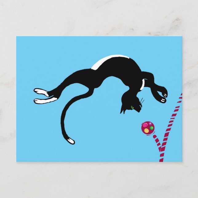 Carte Postale Retournement de chat (Devant)