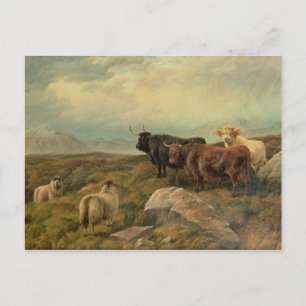 Carte Postale Rétribution