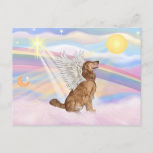 Carte Postale Retriever doré