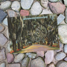 Rétro Bonaventure Drive Savannah GA