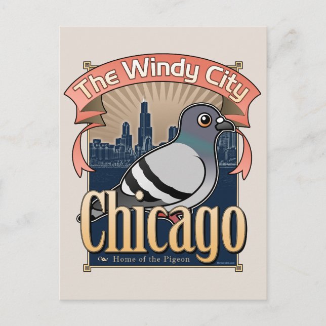 Carte Postale Retro Chicago Pigeon (Devant)