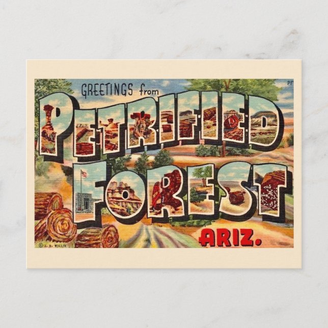 Carte postale rétro Forêt Pétrifiée Arizona (Devant)