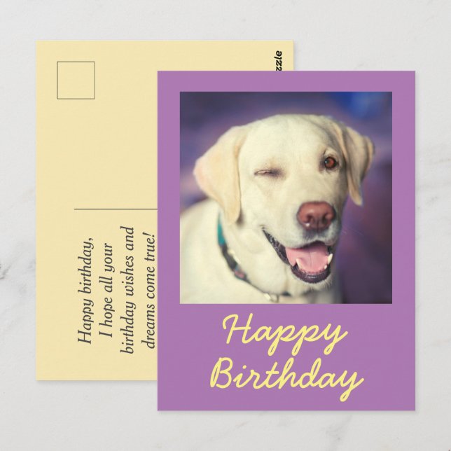 Carte postale Retro Funny Chien et Bonne Anniversa (Devant / Derrière)