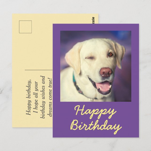 Carte postale Retro Funny Chien et Bonne Anniversa (Devant / Derrière)