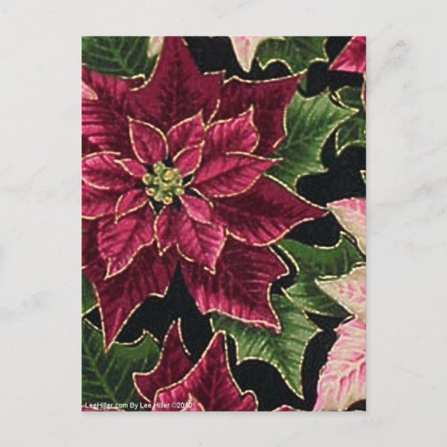 Carte Postale Rétro rose de Bourgogne de poinsettia de les (Devant)