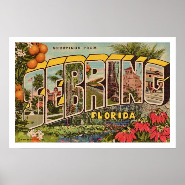 Carte postale Retro Secarry Floride Impression (Devant)