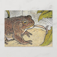 Carte postale Retro Vintage Frog Book Illustration