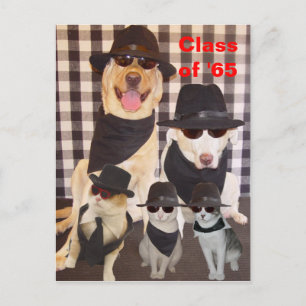 Carte postale Réunion de classe/Invitation