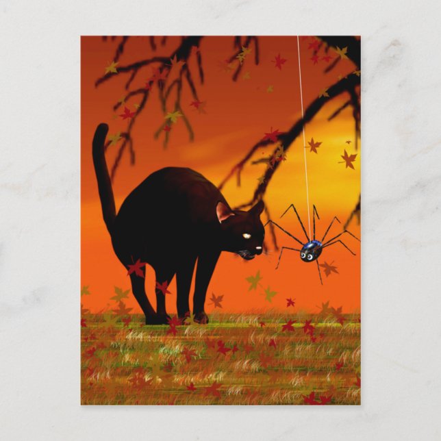 Carte Postale Réunion d'Halloween - Chat noir et Araignée (Devant)