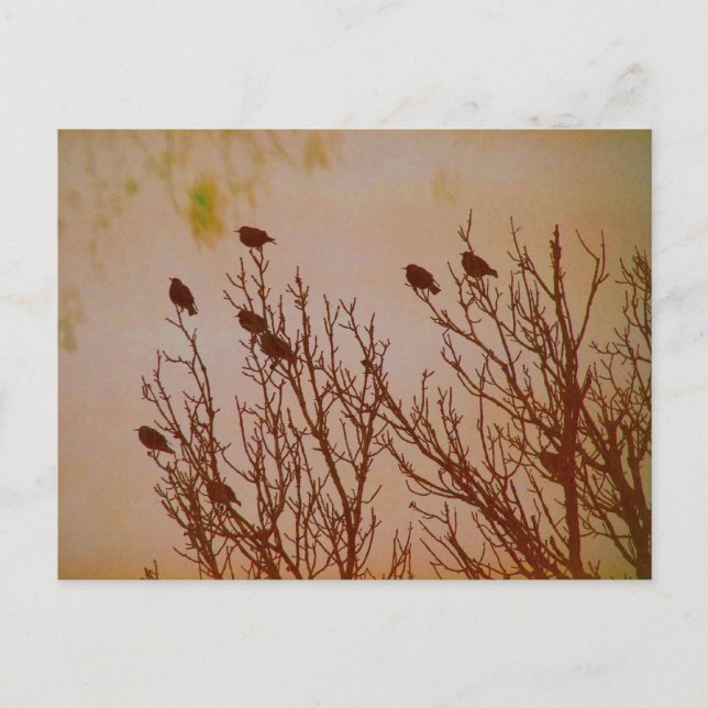 Carte Postale Réunir (Devant)