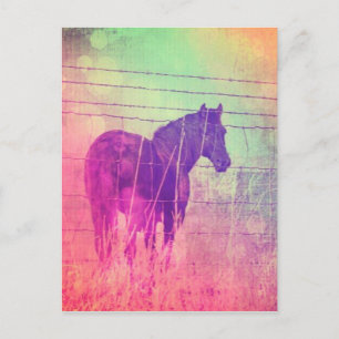 Carte Postale Rêvant de chevaux par angelandspot.