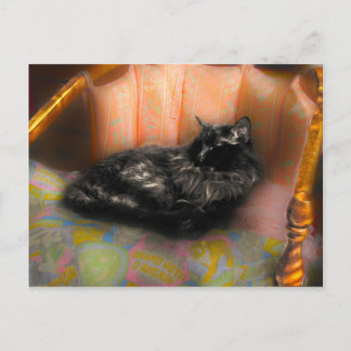 Carte Postale Rêve de chat noir