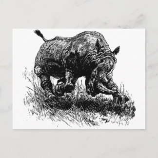 Carte Postale Rhino d'Afrique