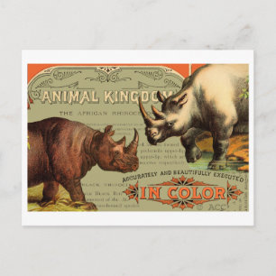 Carte Postale Rhinoceros