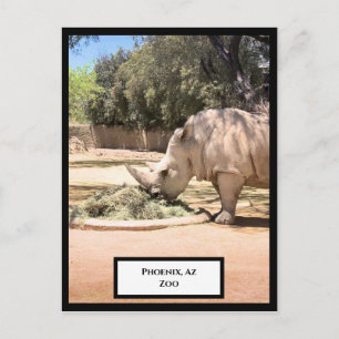 Carte postale Rhinoceros