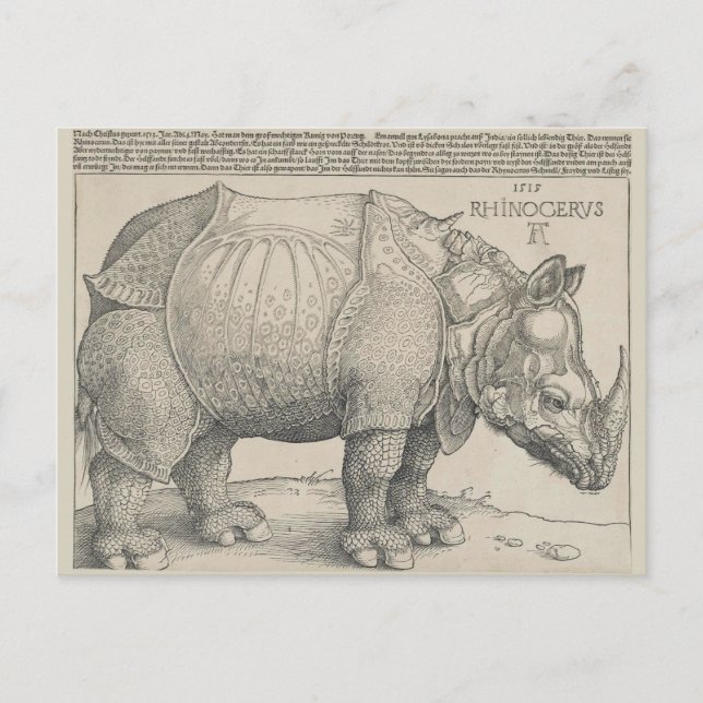 Carte Postale Rhinoceros, coupe de bois par Albrecht Durer (Devant)
