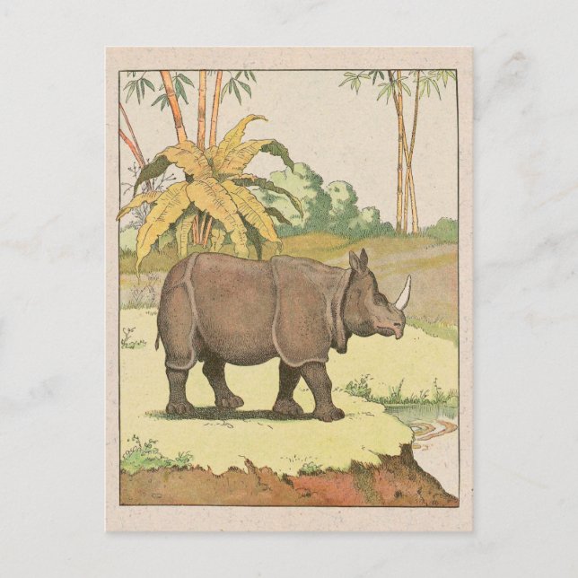 Carte Postale Rhinoceros Dessin de livre (Devant)