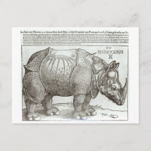Carte Postale Rhinoceros, imprimé donné à Maximilian I (1459-151