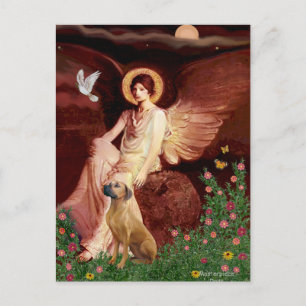 Carte Postale Rhodeis Ridgebak 2 - Angel assis
