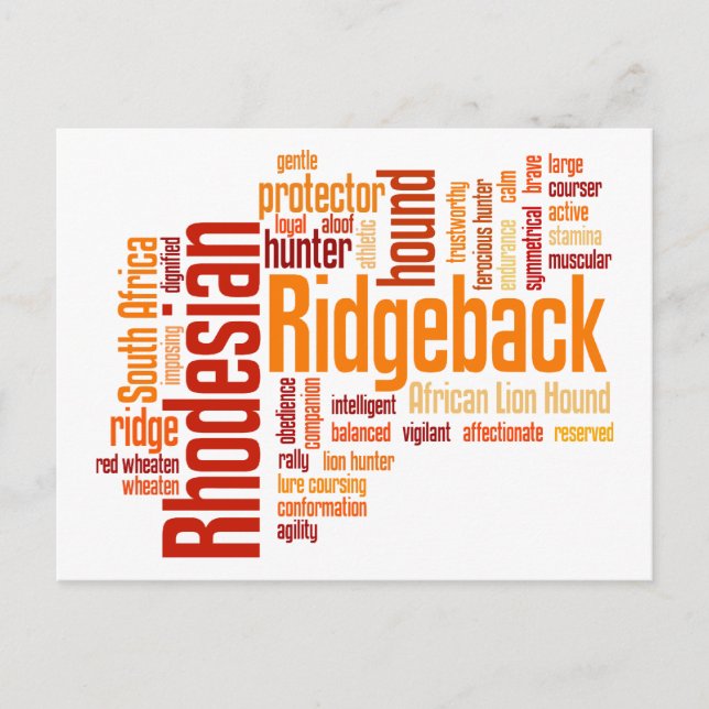 Carte Postale Rhodesian Ridgeback (Devant)