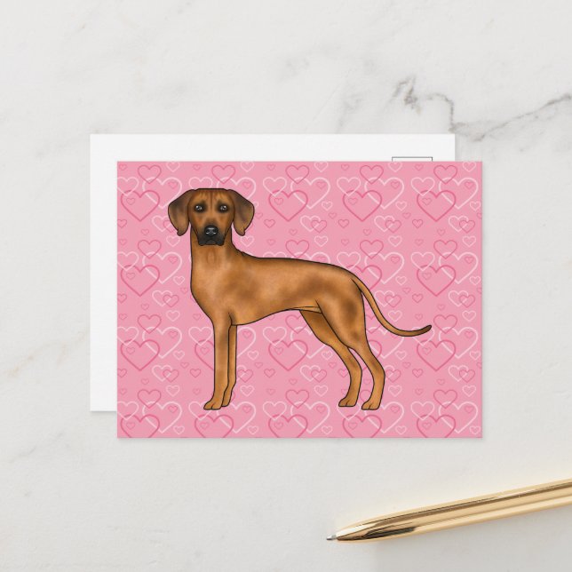 Carte Postale Rhodesian Ridgeback Chien Love Coeur Motif rose (Devant/Arrière en situation)