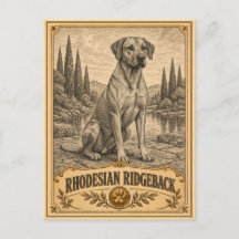 Rhodesian Ridgeback, Objet de Patrimoine Canin Vin