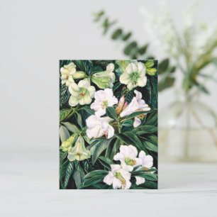 Carte Postale Rhododendrons d'Inde du Nord