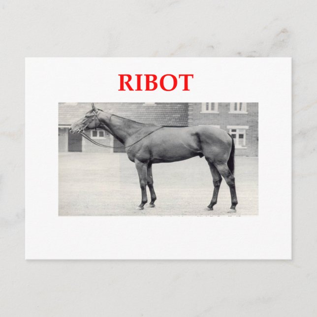Carte Postale ribot (Devant)