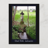 Rice Paddy, Temple, Ubud Bali, Indonésie