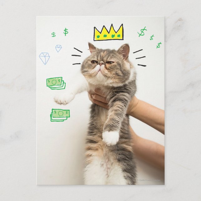 Carte Postale Rich King Cat (Devant)