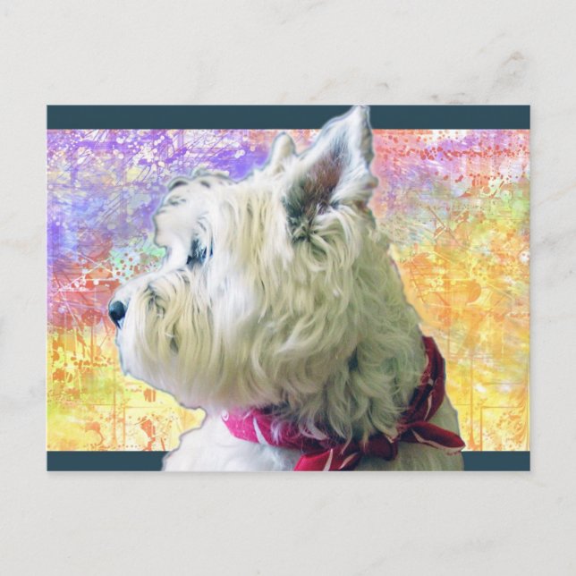 CARTE POSTALE RILEY EN COULEUR (Devant)