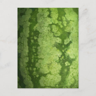 Carte Postale Rind vert Abstrait d'une pastèque