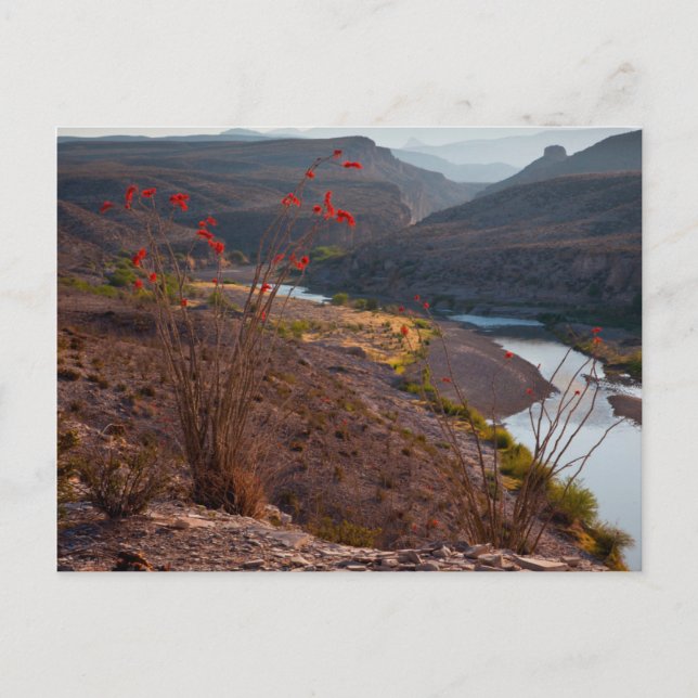 Carte Postale Rio Grande Traversant Le Désert Du Chihuahuan (Devant)
