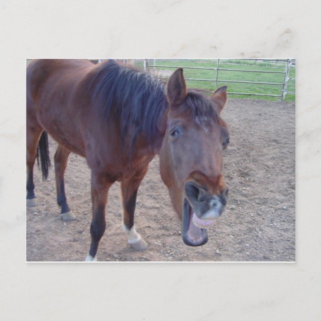 Carte Postale Rire d'ange (Devant)