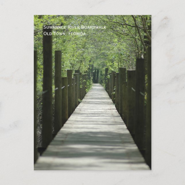 Carte postale River Boardwalk (Devant)