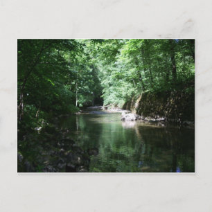 Carte Postale river in the forest croatia