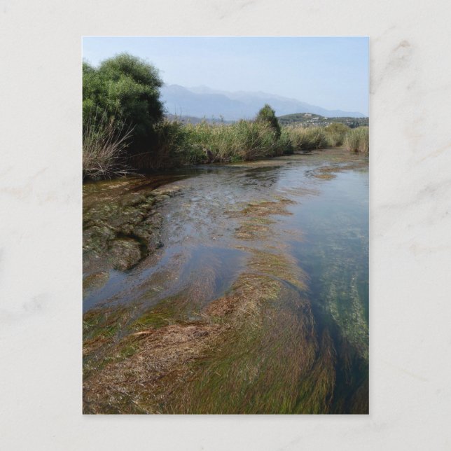 Carte postale River Scene (Devant)