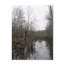 Rivière à travers la nature sauvage