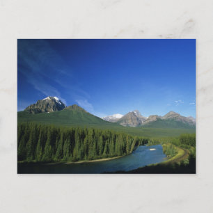 Carte Postale Rivière Bow près du parc national de Banff en Albe