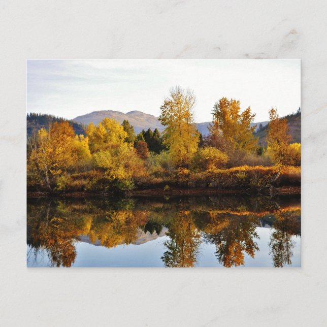 Carte Postale Rivière Coeur D Alene près de Cataldo, Idaho. (Devant)