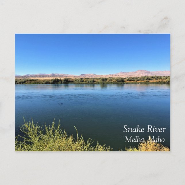 Carte Postale Rivière des serpents, Melba, Idaho (Devant)