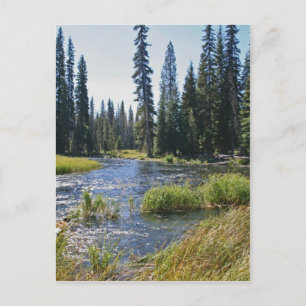 Carte Postale Rivière Deschutes au lac Little Lava, Oregon