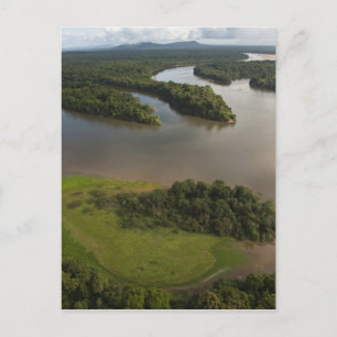 Carte Postale rivière Essequibo, rivière la plus longue du Guyan