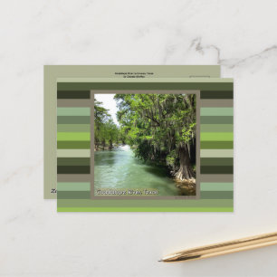 Carte Postale Rivière Guadalupe en Gruene, Texas