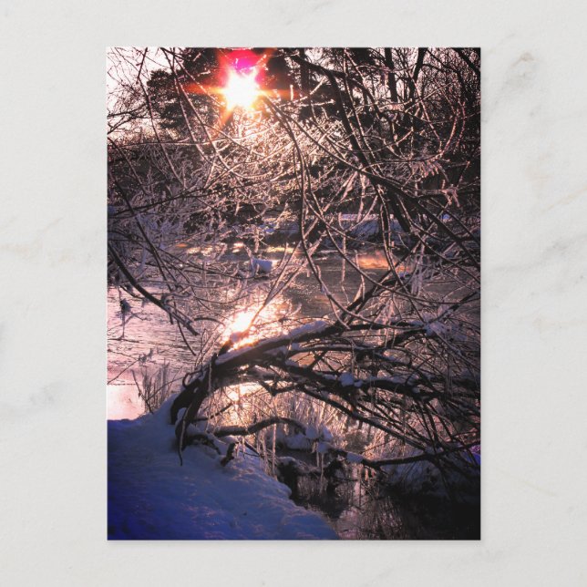 Carte Postale Rivière Hafren / Severn en hiver (Devant)