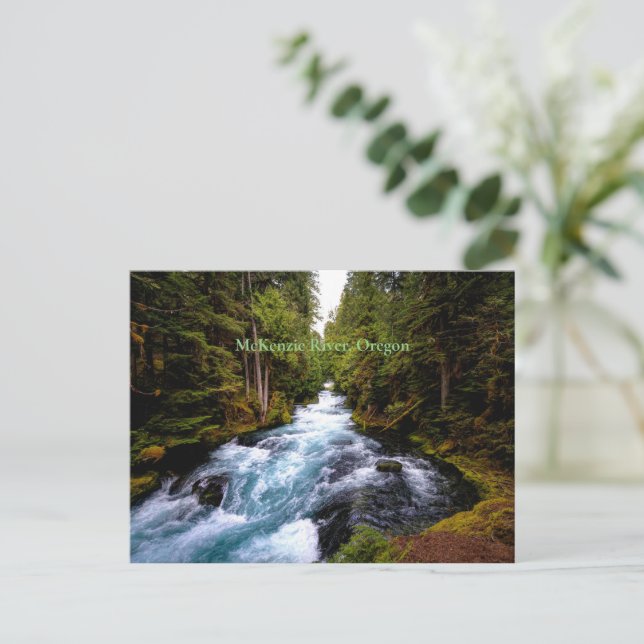 Carte Postale Rivière McKenzie, Oregon, photographie panoramique (Debout devant)