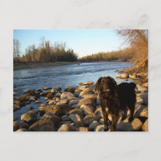 Carte Postale Rivière Mississppi - Bonjour