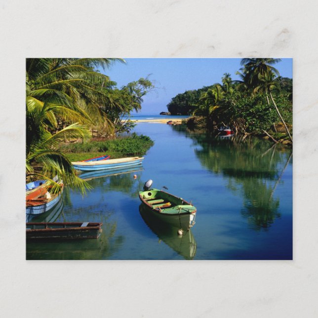 Carte Postale Rivière pittoresque près d'Ocho Rios en Jamaïque (Devant)