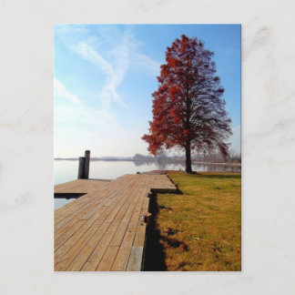 Carte Postale Rivière Vienne Maryland